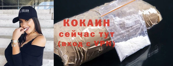 хмурый Сосновый Бор