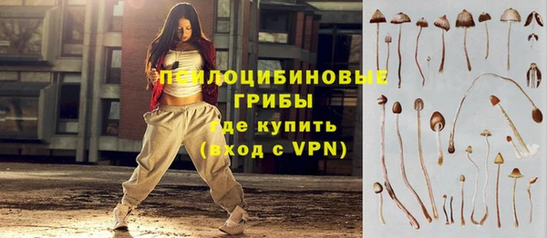 ALPHA PVP Беломорск