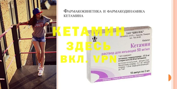 хмурый Сосновый Бор