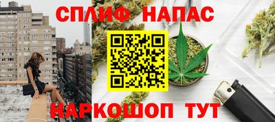 МДПВ Пенза