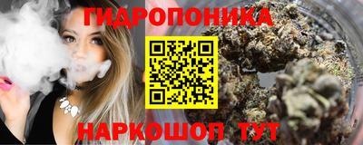 МДПВ Пенза