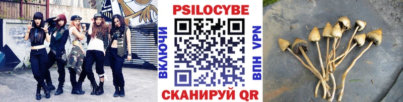 гидра онион  где можно купить   Валуйки  Псилоцибиновые грибы Magic Shrooms 