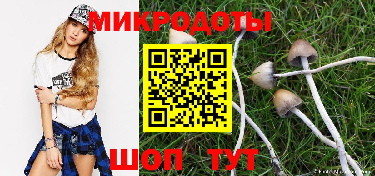 Псилоцибиновые грибы MAGIC MUSHROOMS Валуйки